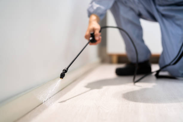Licensed Pest Control service in Buhl, MN - Show Me Pest Control